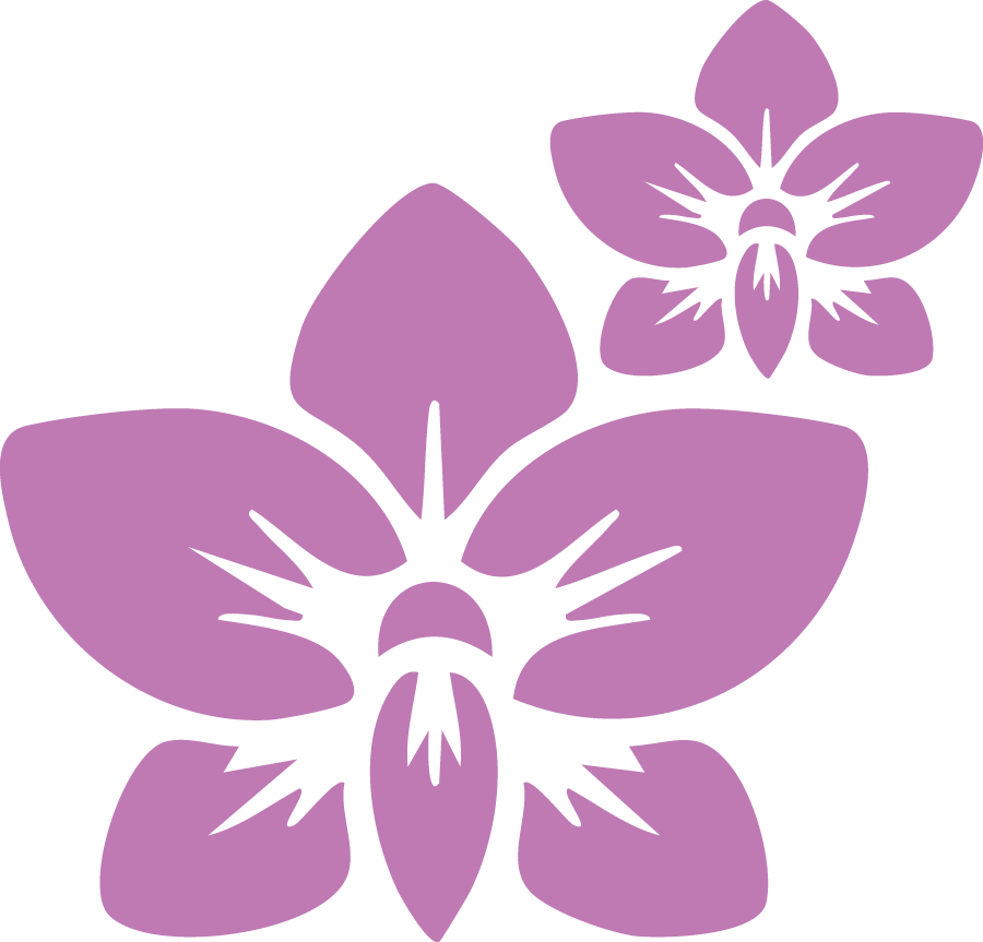 Orchid